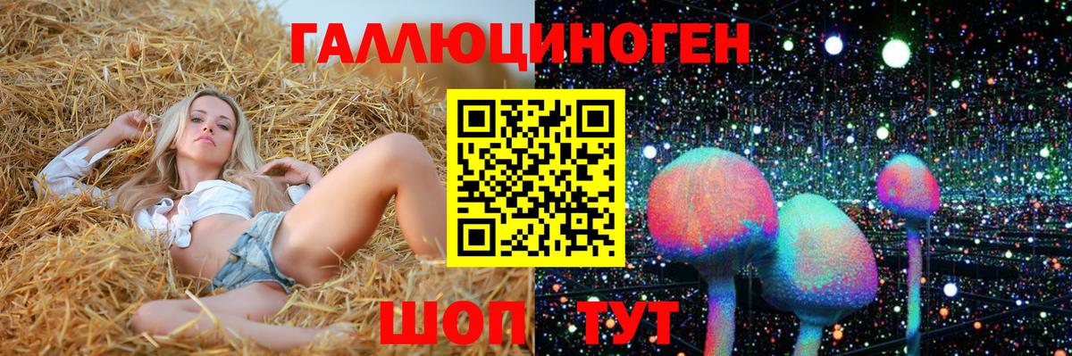 Псилоцибиновые грибы Psilocybine cubensis Волжск
